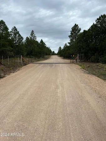 $599,000 | 1467 County Road 3140, Vernon, AZ 85940
