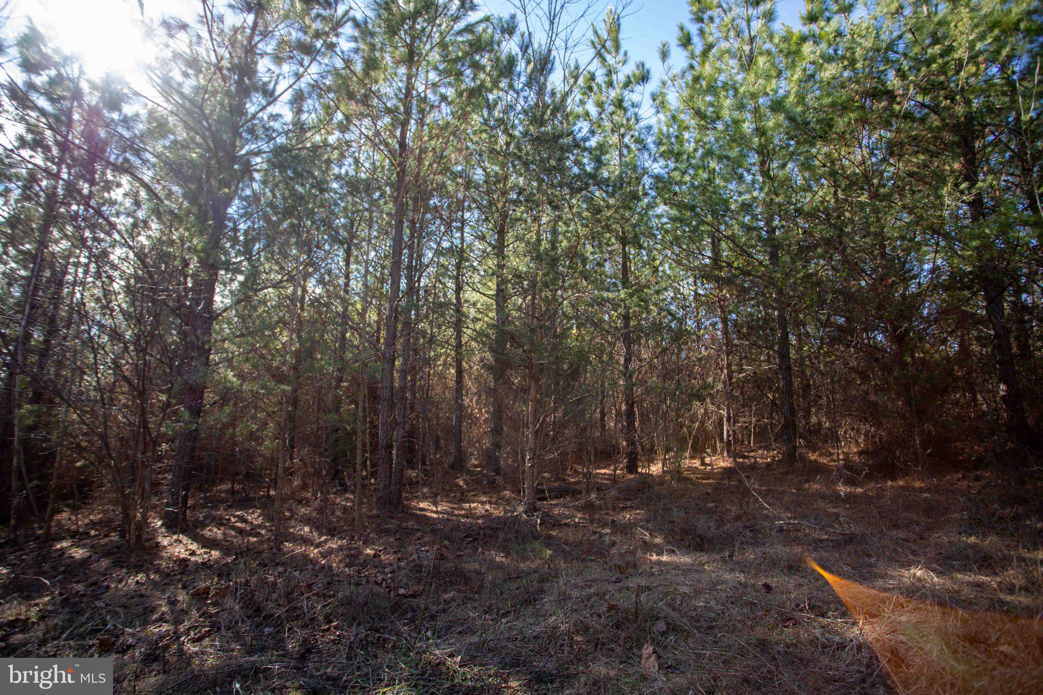 Tbd West Tbd W Gretna, Unit 1 Sandy Level, VA 24161 - Photo 11 of 76