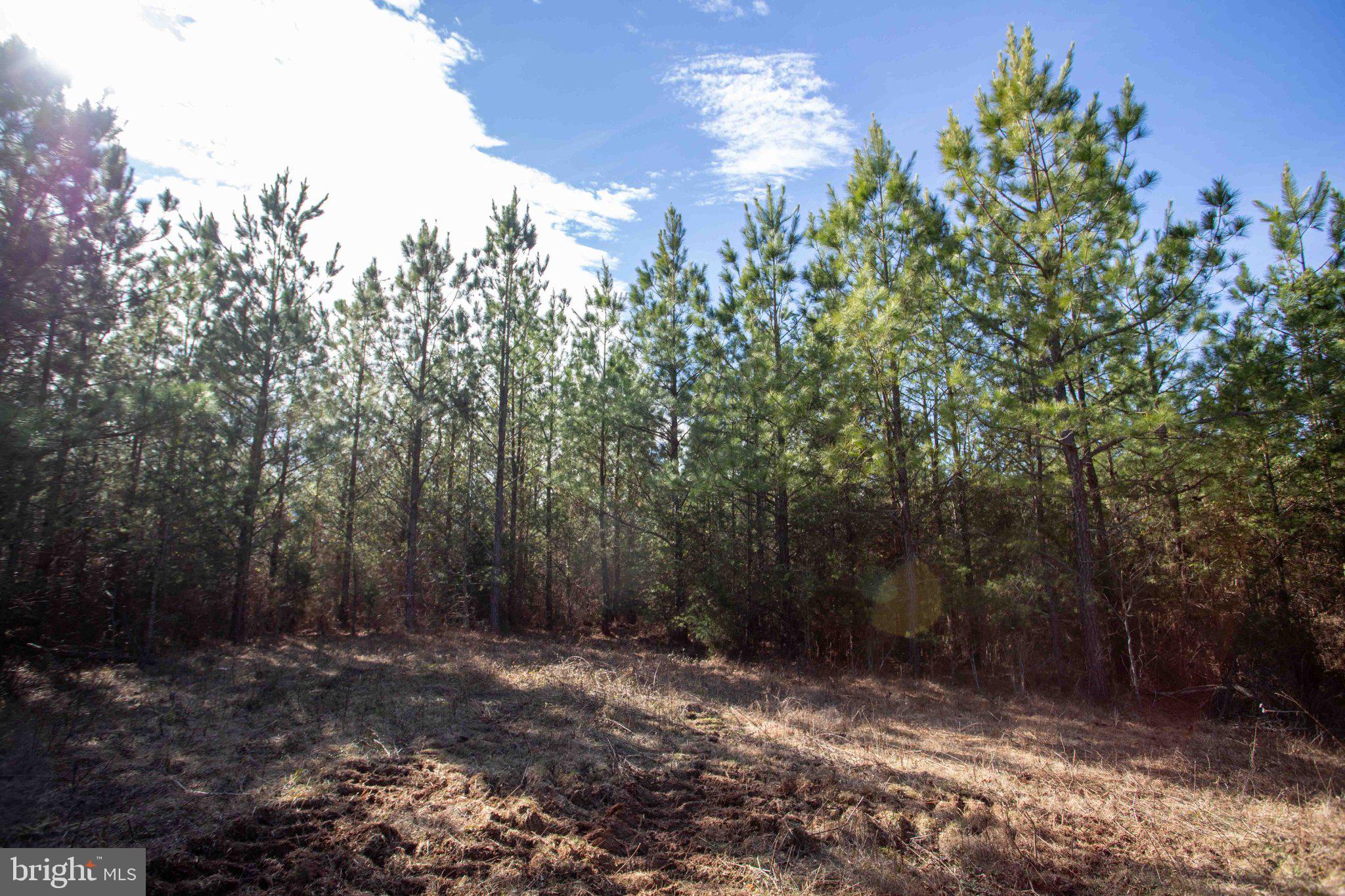 Tbd West Tbd W Gretna, Unit 1 Sandy Level, VA 24161 - Photo 14 of 76