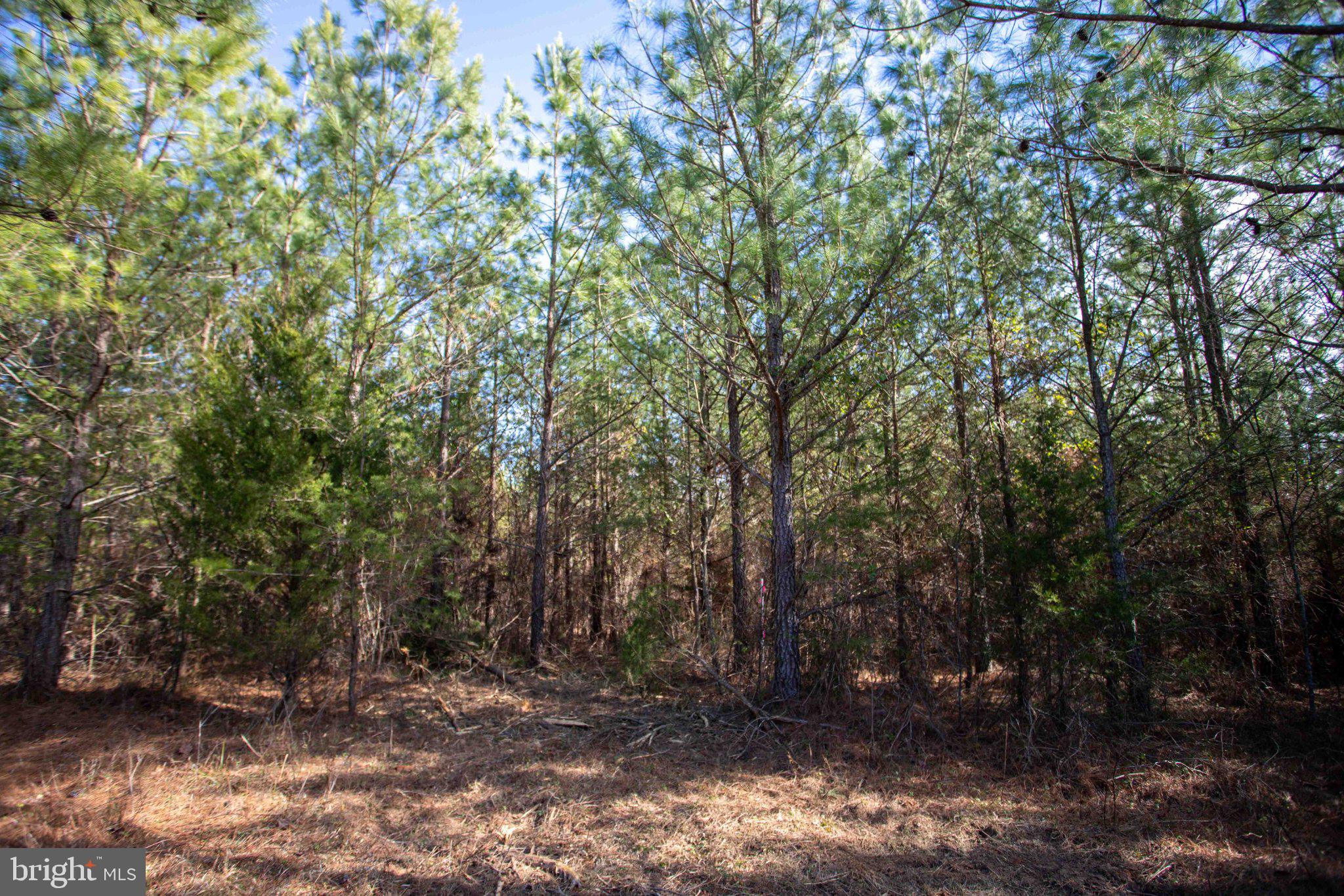 Tbd West Tbd W Gretna, Unit 1 Sandy Level, VA 24161 - Photo 20 of 76