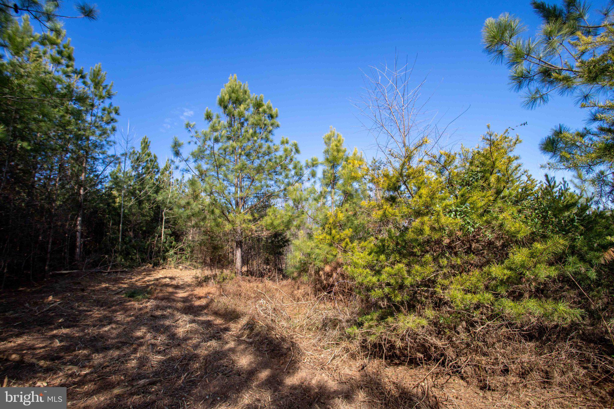 Tbd West Tbd W Gretna, Unit 1 Sandy Level, VA 24161 - Photo 2 of 76