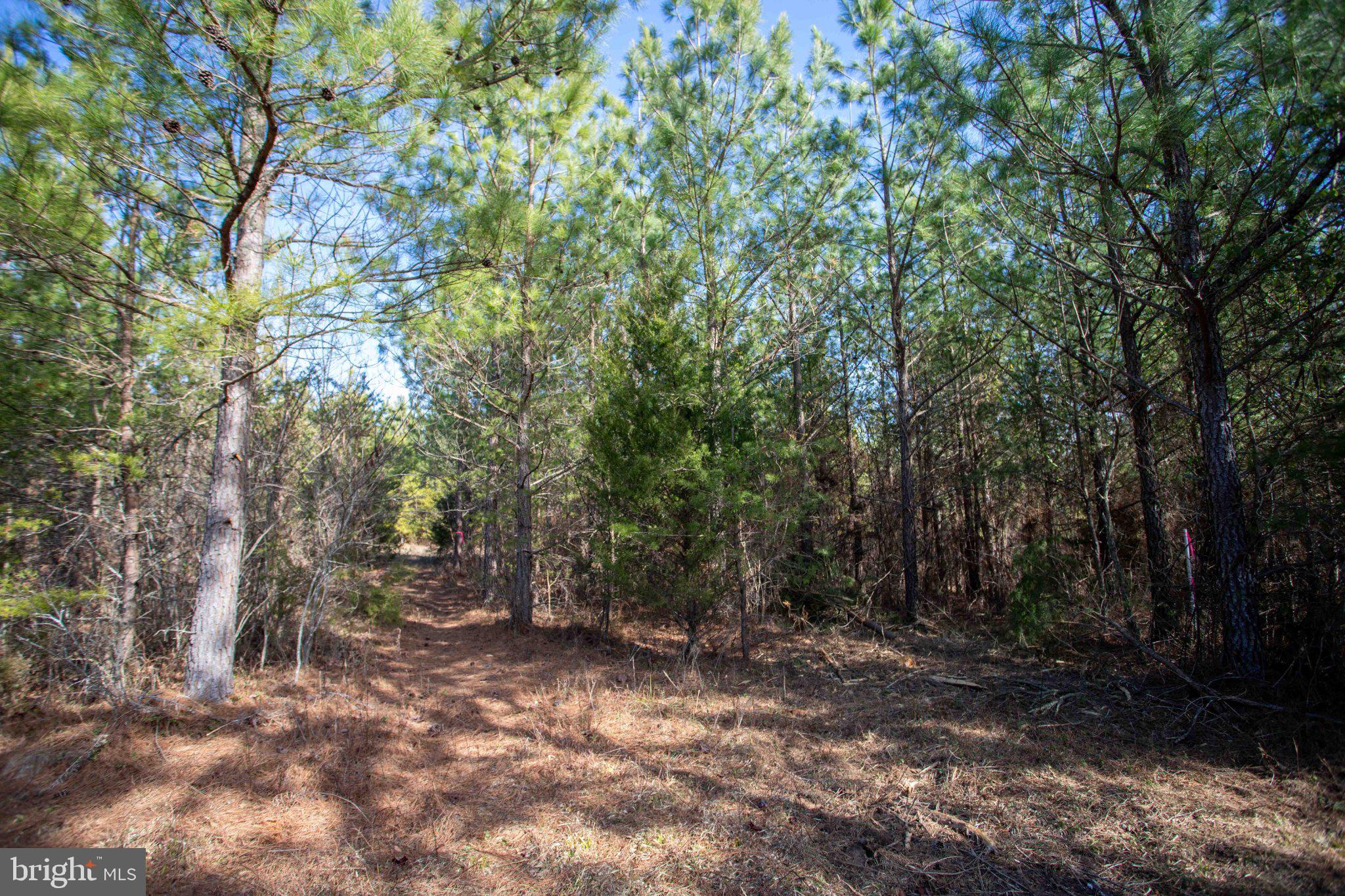 Tbd West Tbd W Gretna, Unit 1 Sandy Level, VA 24161 - Photo 21 of 76
