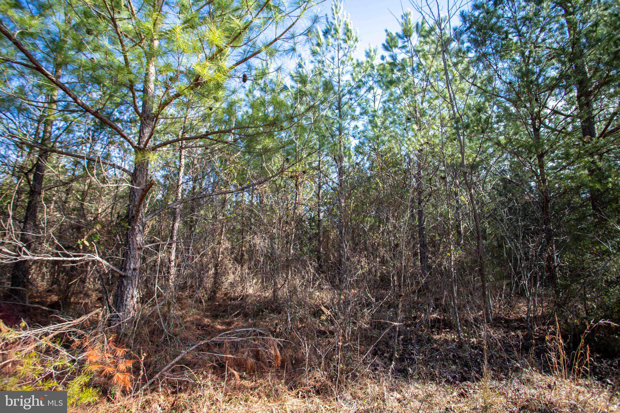 Tbd West Tbd W Gretna, Unit 1 Sandy Level, VA 24161 - Photo 22 of 76