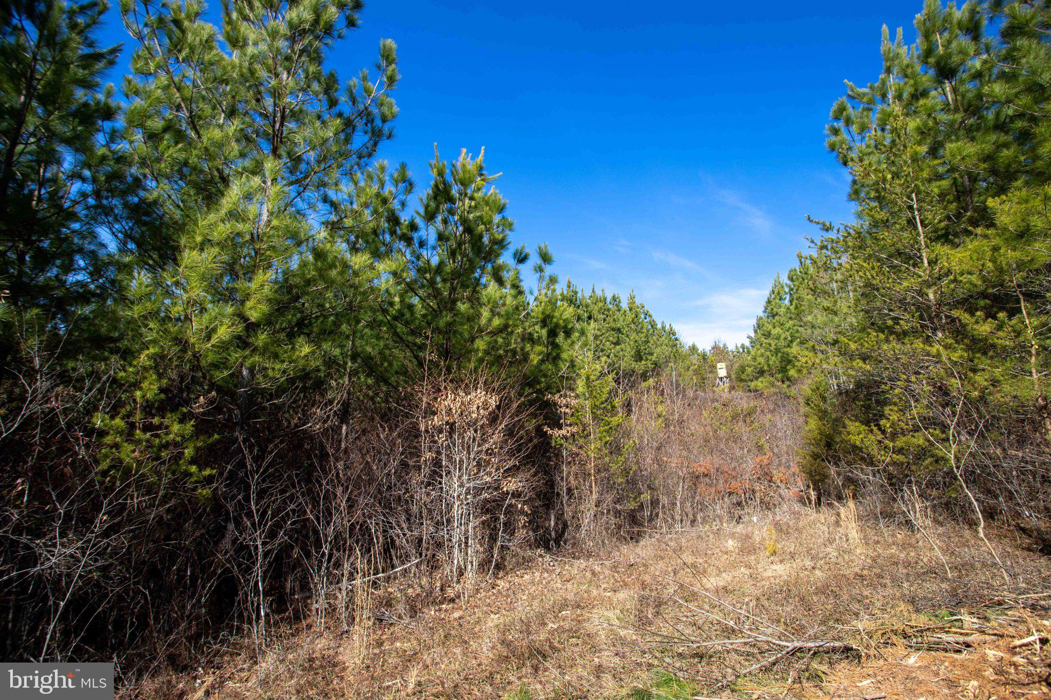 Tbd West Tbd W Gretna, Unit 1 Sandy Level, VA 24161 - Photo 23 of 76