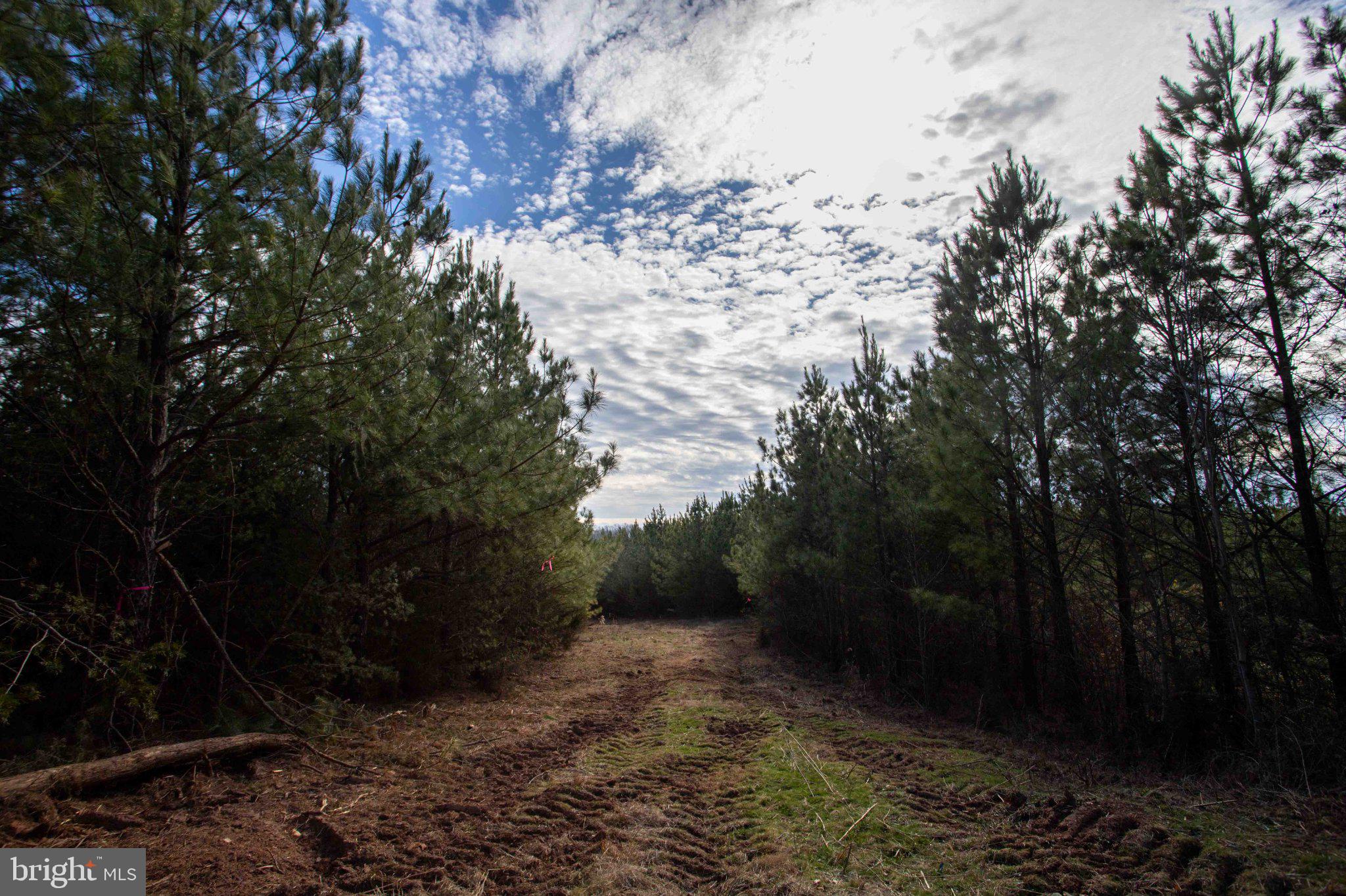 Tbd West Tbd W Gretna, Unit 1 Sandy Level, VA 24161 - Photo 24 of 76