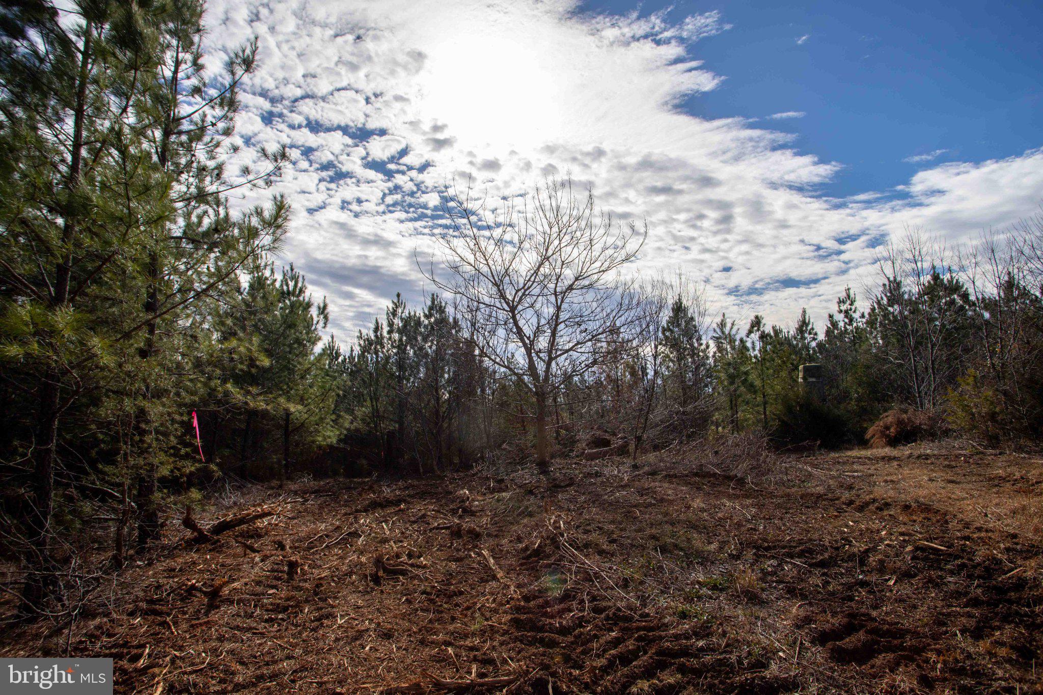 Tbd West Tbd W Gretna, Unit 1 Sandy Level, VA 24161 - Photo 26 of 76
