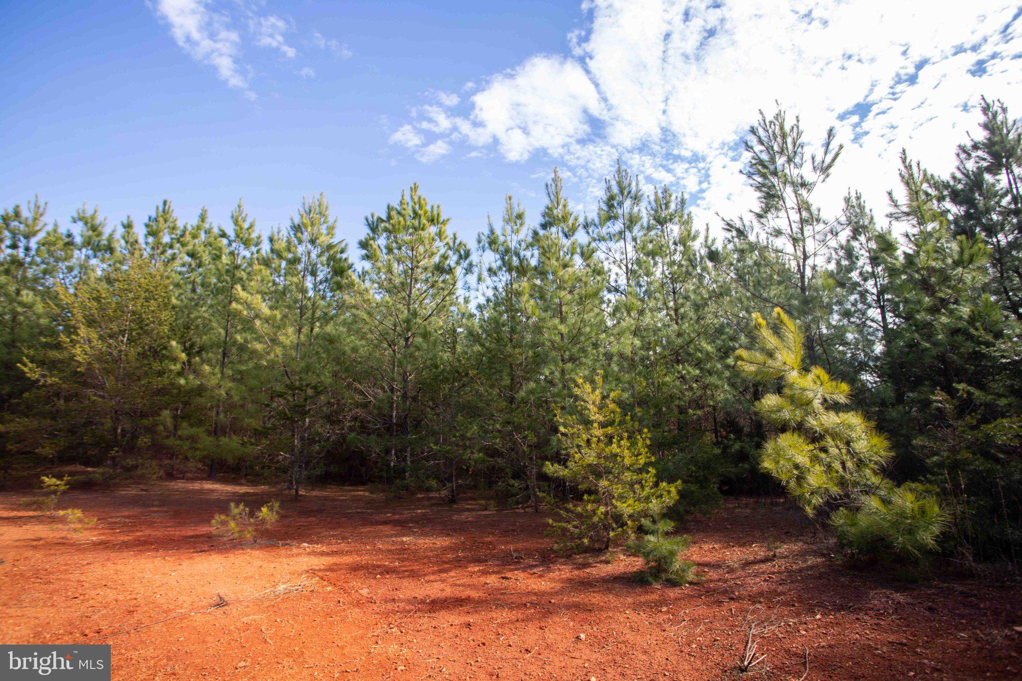 Tbd West Tbd W Gretna, Unit 1 Sandy Level, VA 24161 - Photo 28 of 76