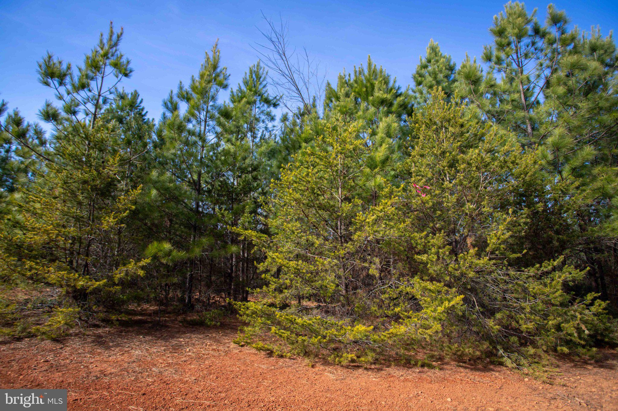 Tbd West Tbd W Gretna, Unit 1 Sandy Level, VA 24161 - Photo 29 of 76