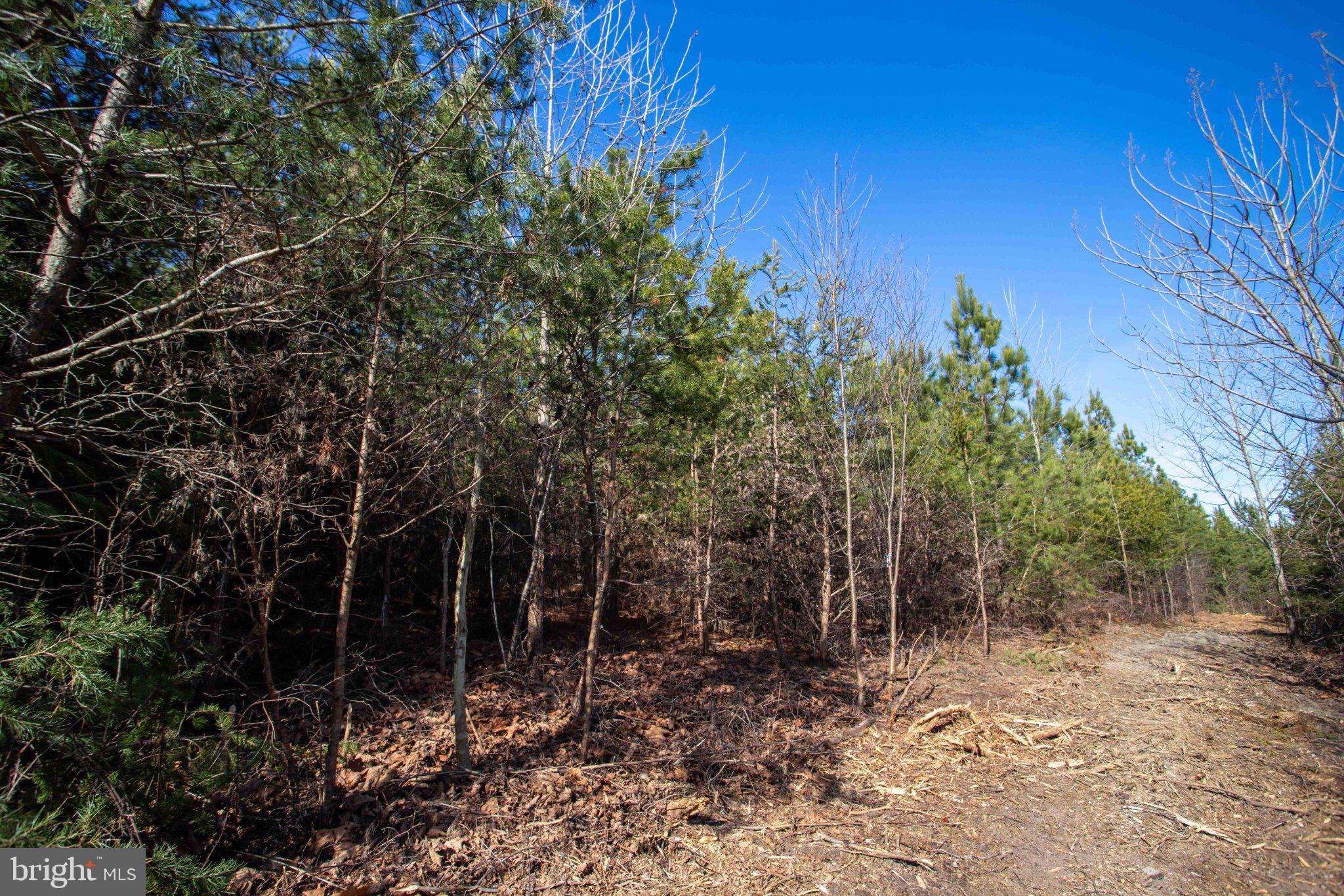 Tbd West Tbd W Gretna, Unit 1 Sandy Level, VA 24161 - Photo 3 of 76
