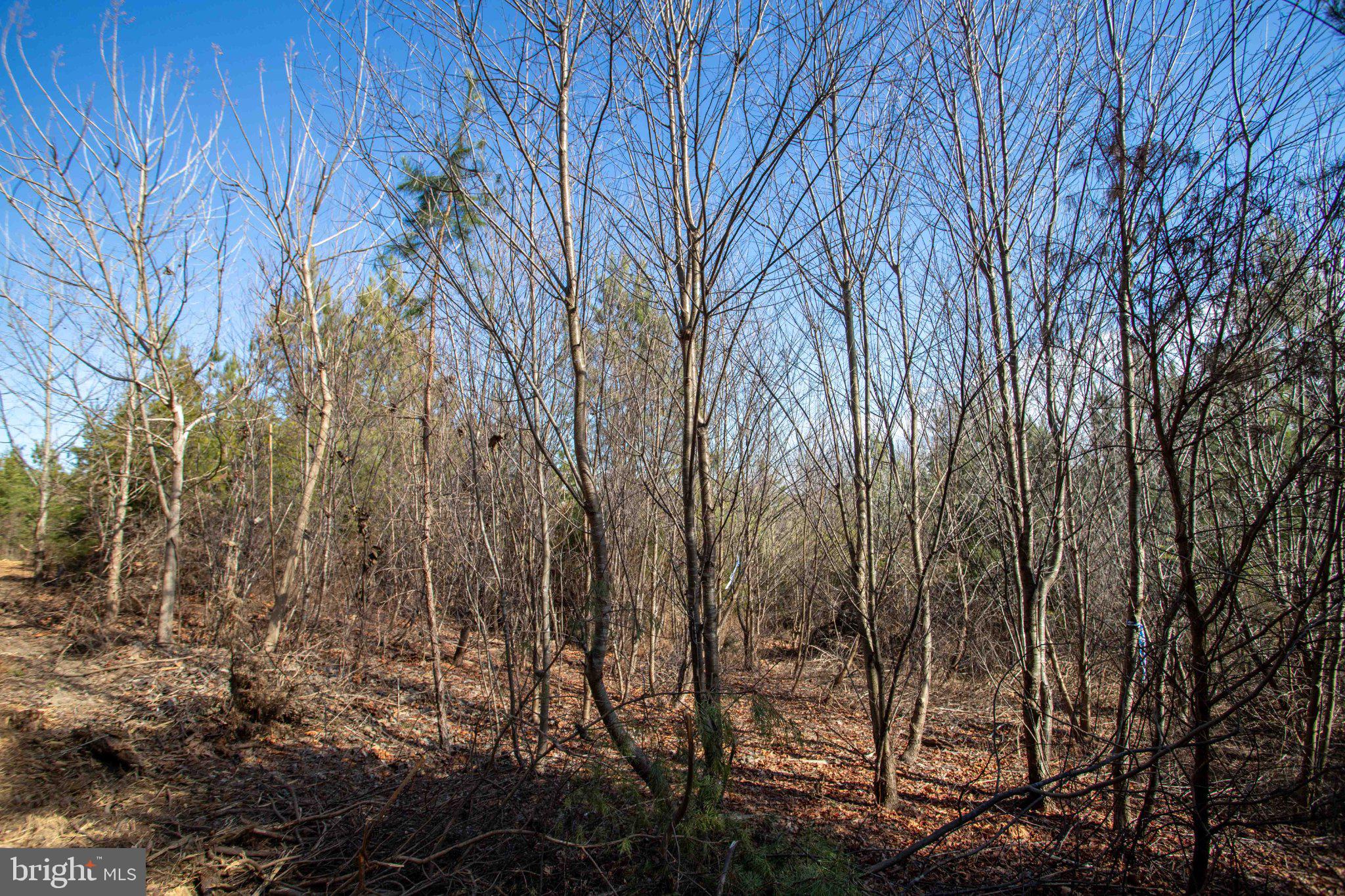 Tbd West Tbd W Gretna, Unit 1 Sandy Level, VA 24161 - Photo 4 of 76