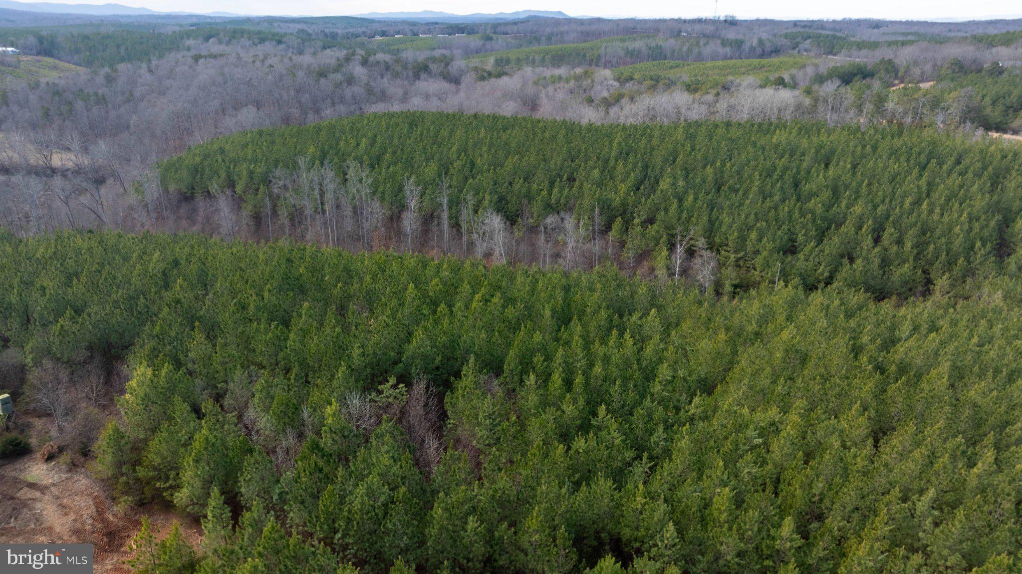 Tbd West Tbd W Gretna, Unit 1 Sandy Level, VA 24161 - Photo 49 of 76