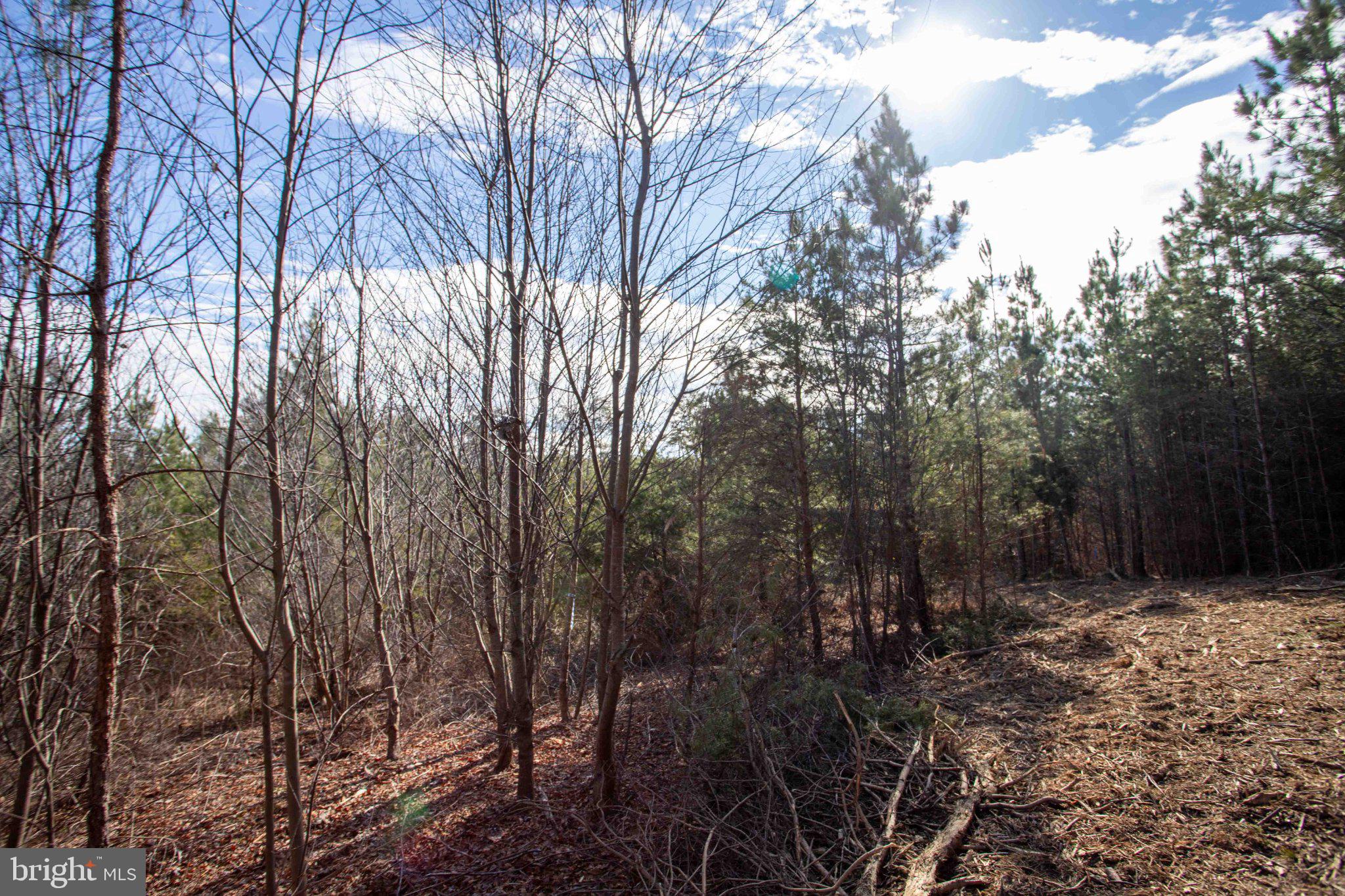 Tbd West Tbd W Gretna, Unit 1 Sandy Level, VA 24161 - Photo 5 of 76