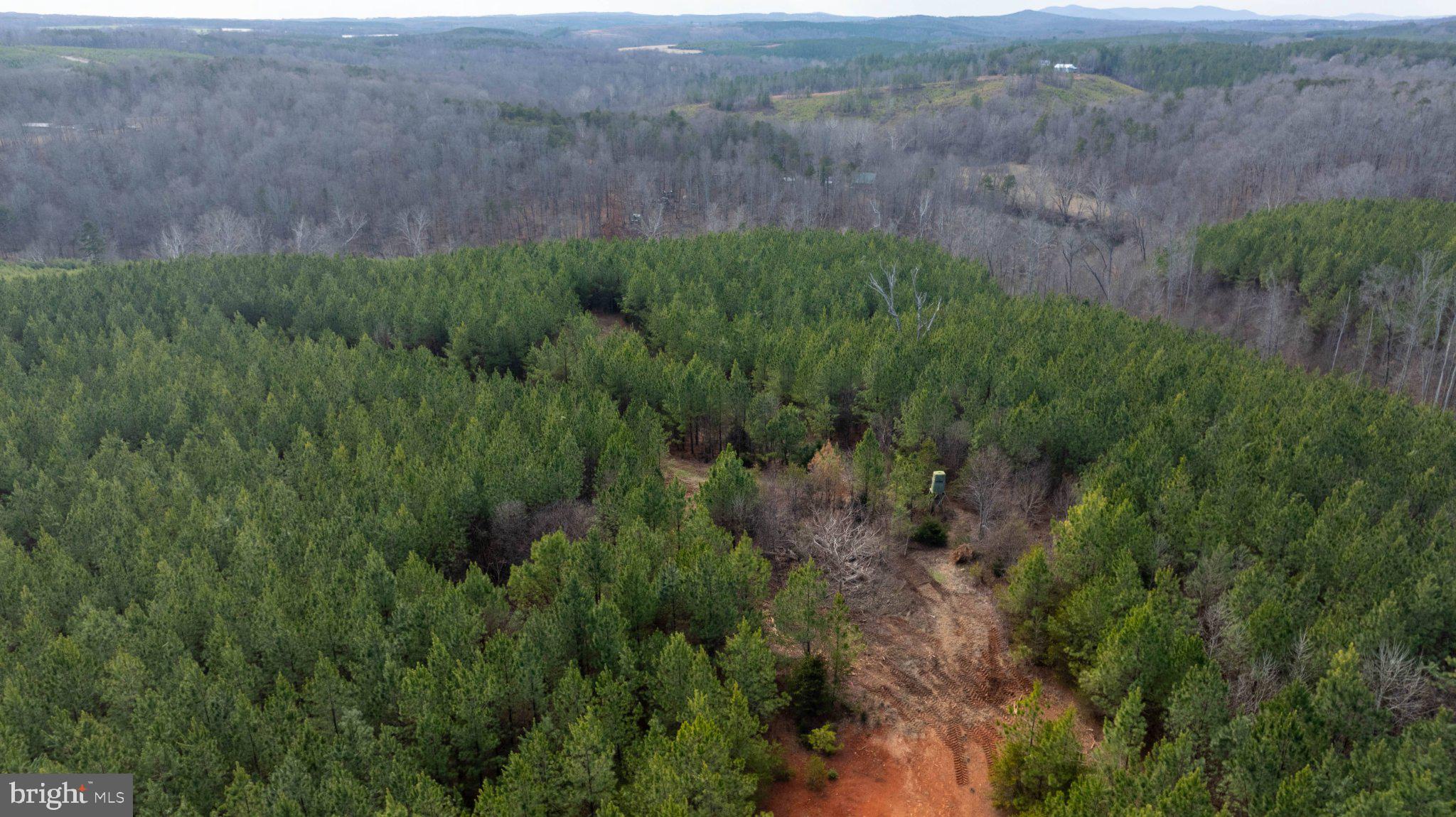 Tbd West Tbd W Gretna, Unit 1 Sandy Level, VA 24161 - Photo 52 of 76