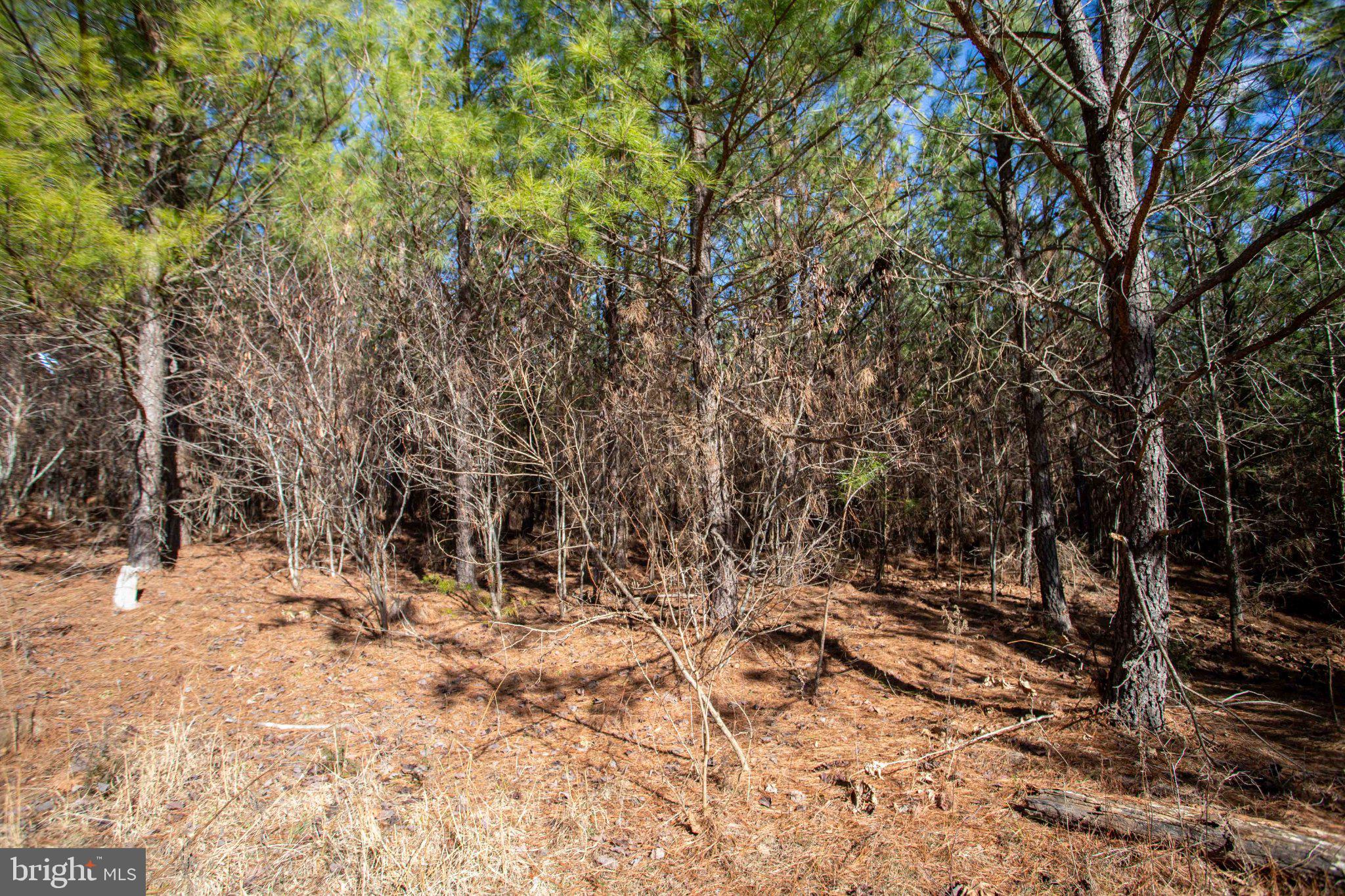 Tbd West Tbd W Gretna, Unit 1 Sandy Level, VA 24161 - Photo 10 of 76