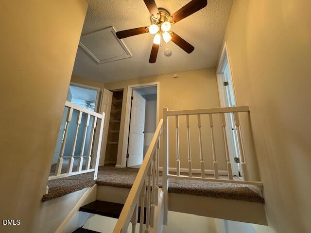 7825 Stephanie Lane Raleigh, NC 27615 - Photo 12 of 22 image12