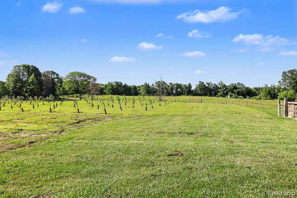2150 East Snover Road Mayville, MI 48744 - Photo 36 of 48
