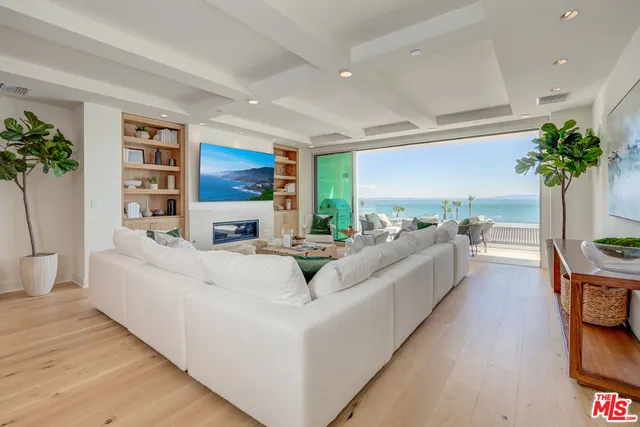 a living room with furniture potted plant and a flat screen tv