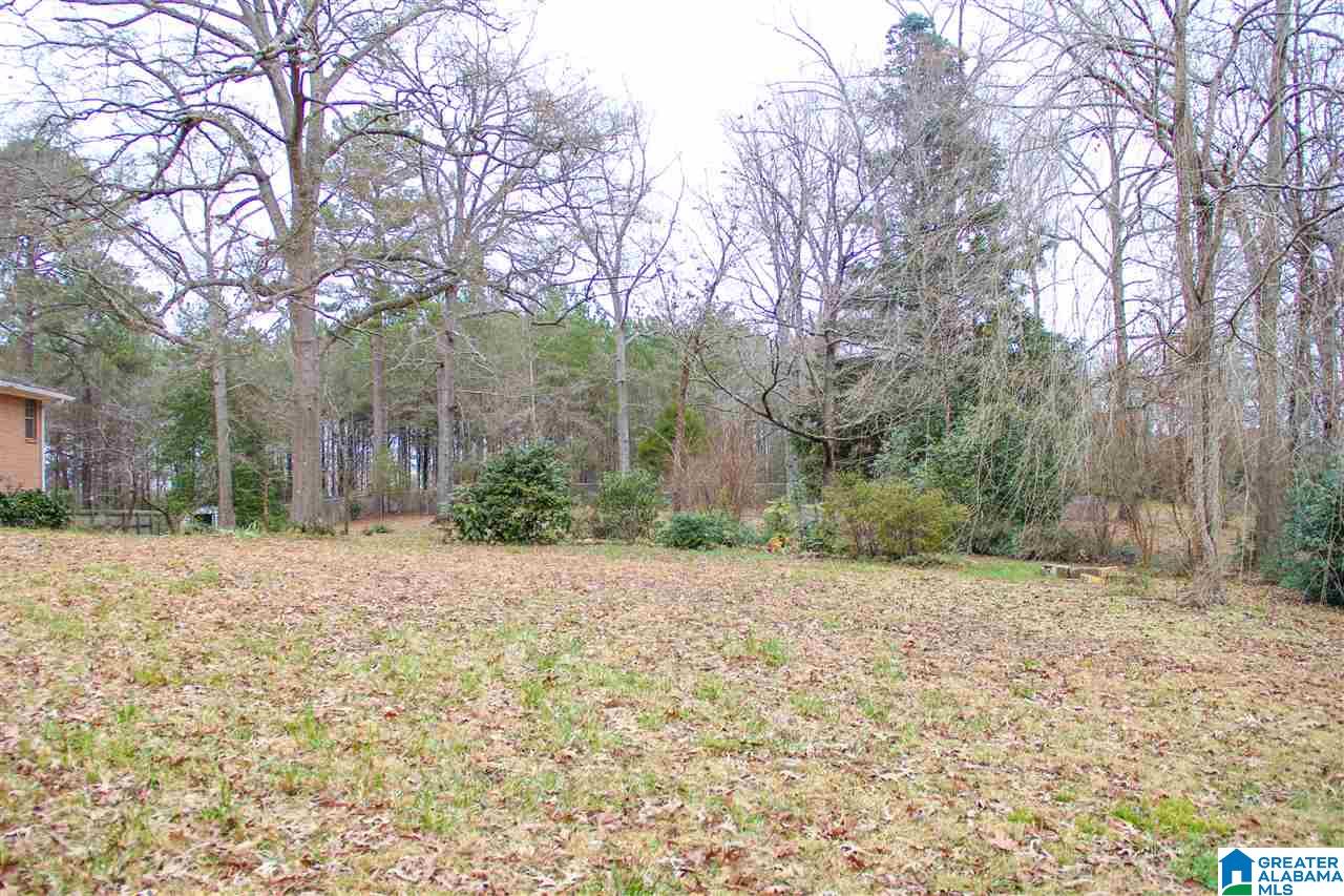 855 Parsons Road Bessemer, AL 35022 - Photo 12 of 41