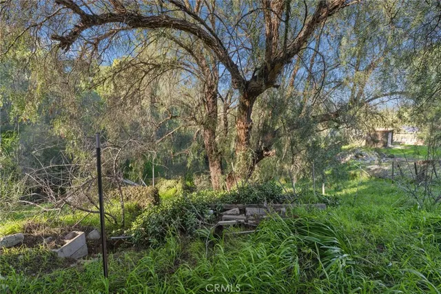 a green field with lots of green space and trees
