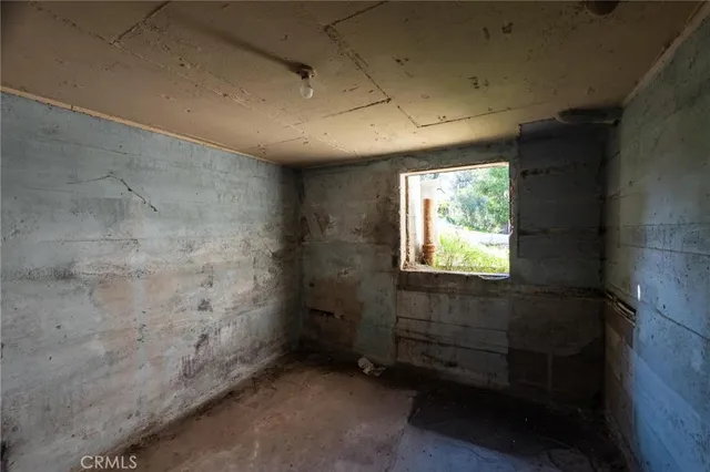 a view of a tree with a yard