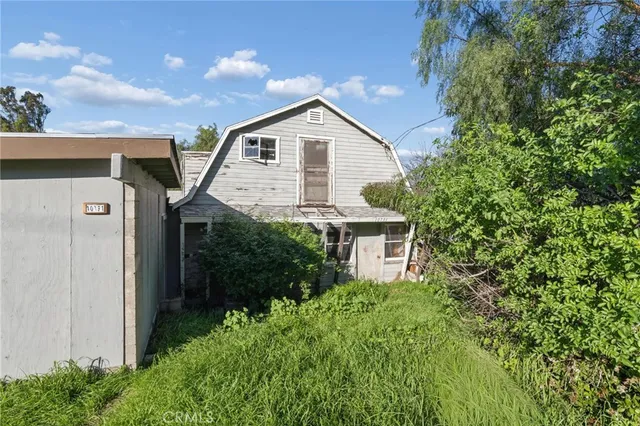 a view of a yard with potted plants and large trees