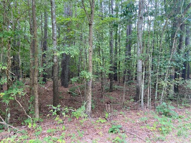 0 Buck Street Road Roxboro, NC 27574 - Photo 2 of 5 IMG_1344