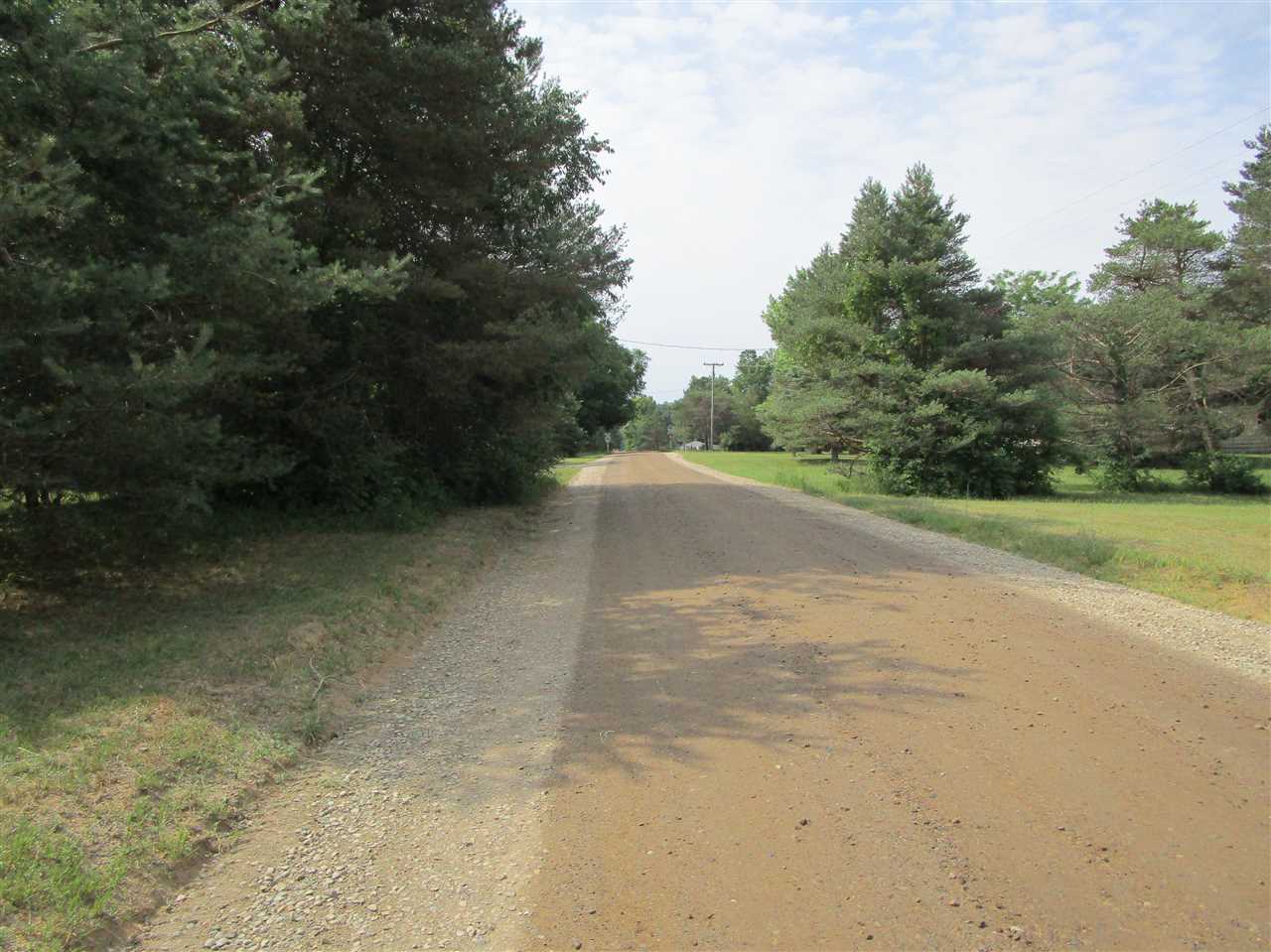 5545 Chambers Road Mayville, MI 48744 - Photo 12 of 12