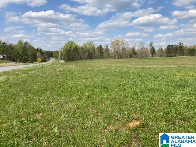2001 Oaks Chapel Road, Unit 12 51 AC Goodwater, AL 35072 - Photo 2 of 5