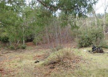 3079 Reuben Road Glendale, OR 97442 - Photo 13 of 14 Additional Photo