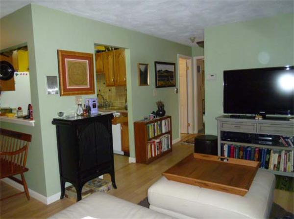 18 Hamilton Road, Unit 108 Arlington, MA 02474 - Photo 6 of 14 Gallery Image 6