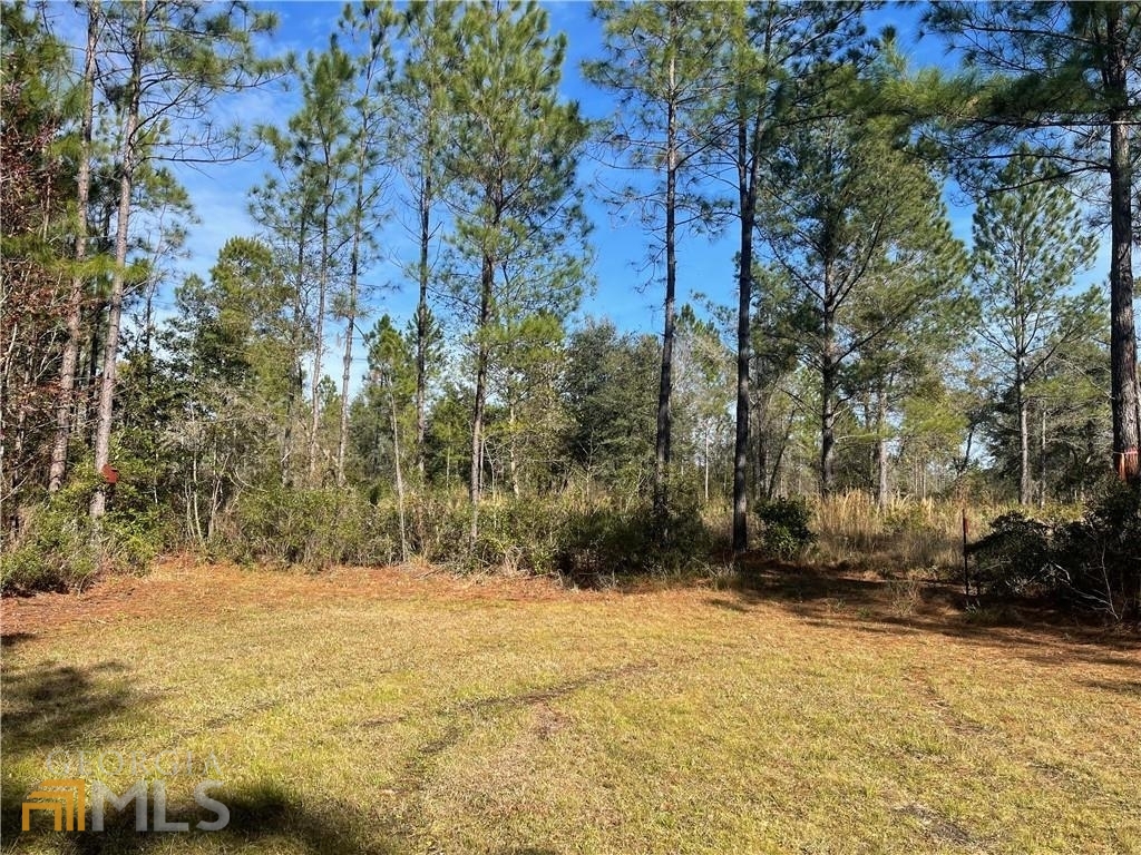 3 A Greenswamp Road Brunswick, GA 31525 - Photo 1 of 1 Gallery Image 1