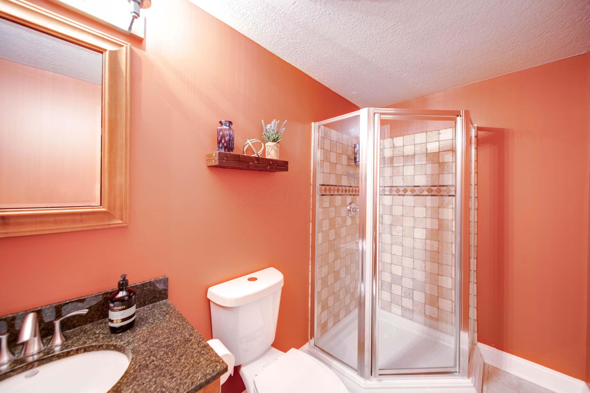 971 Ridge Crest Drive Columbus, OH 43230 - Photo 23 of 33 46-web-or-mls-DSC06435_6_7