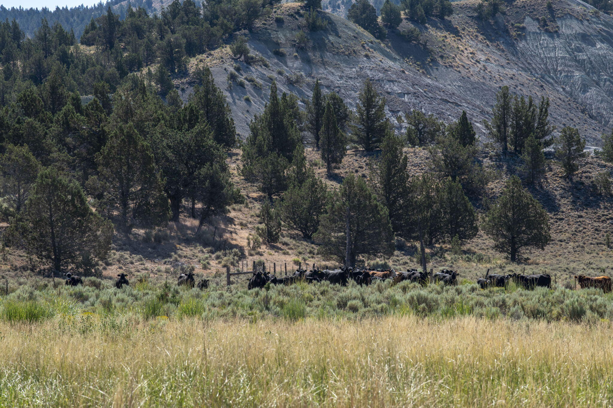 32500 Tackman Road Prineville, OR 97754 - Photo 70 of 112