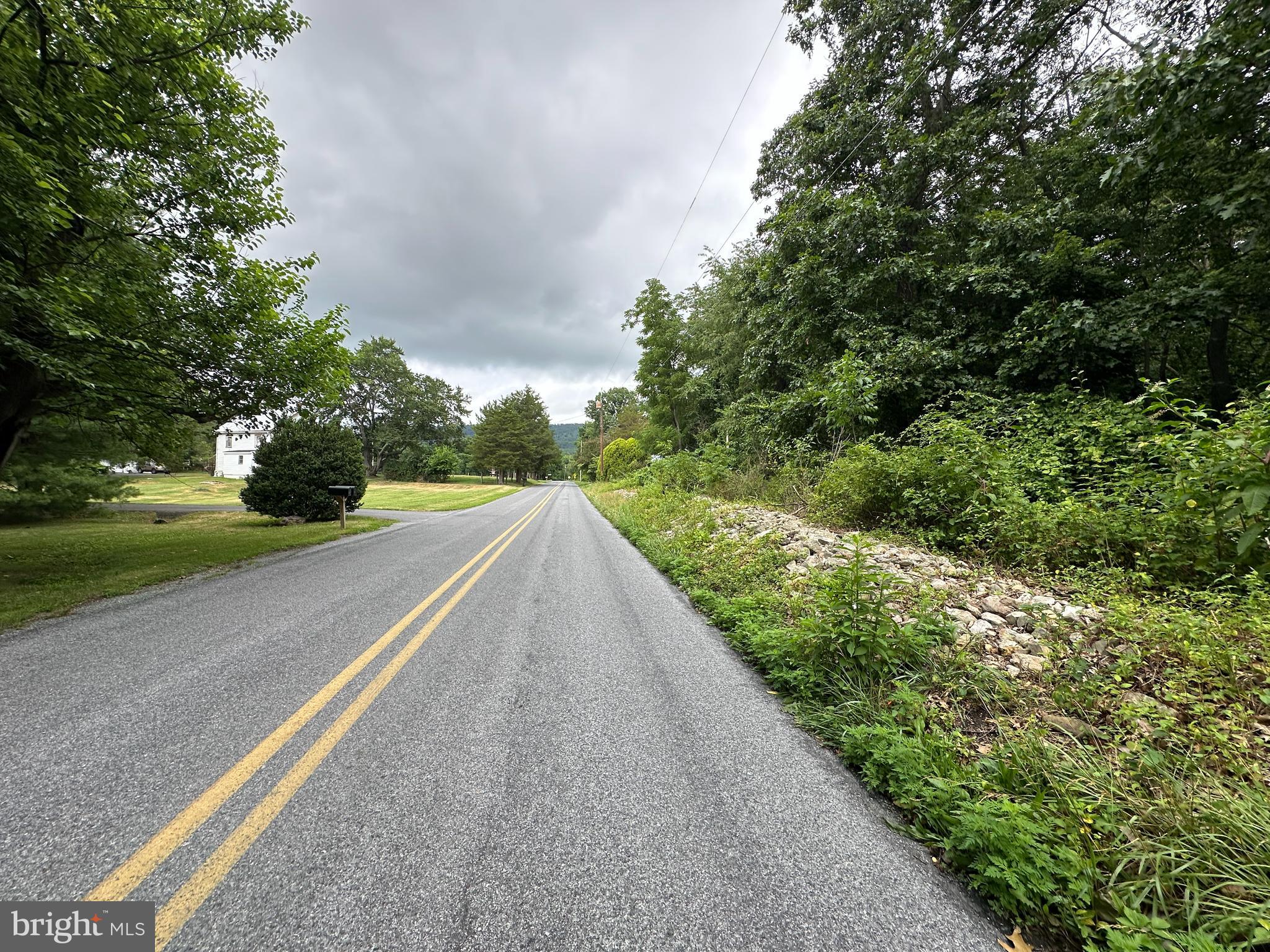 9-acres Polidor Road Waynesboro, PA 17268 - Photo 6 of 20