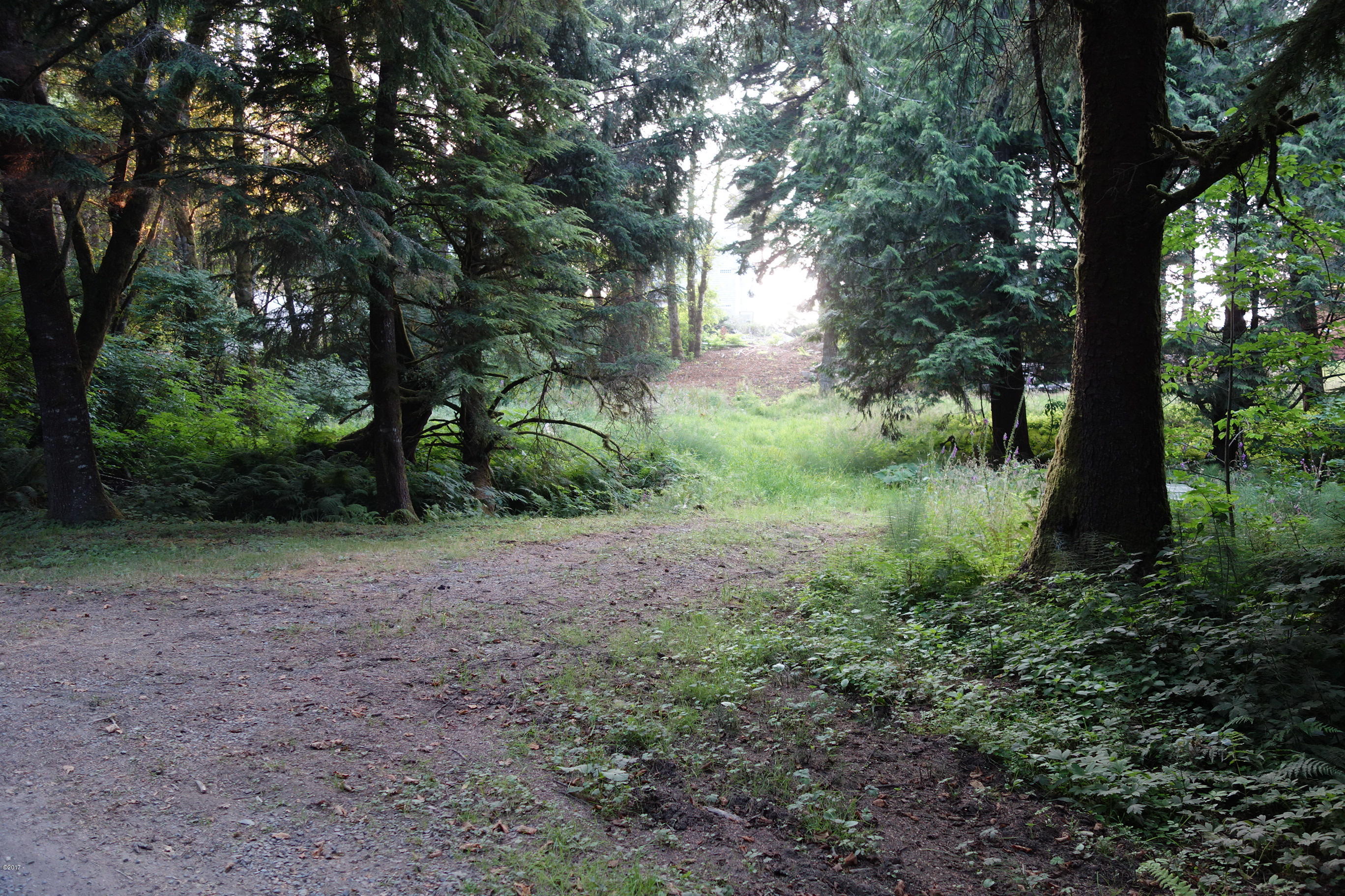 3501 South Beach Road Neskowin, OR 97149 - Photo 7 of 25 Ingress from South Beach Road