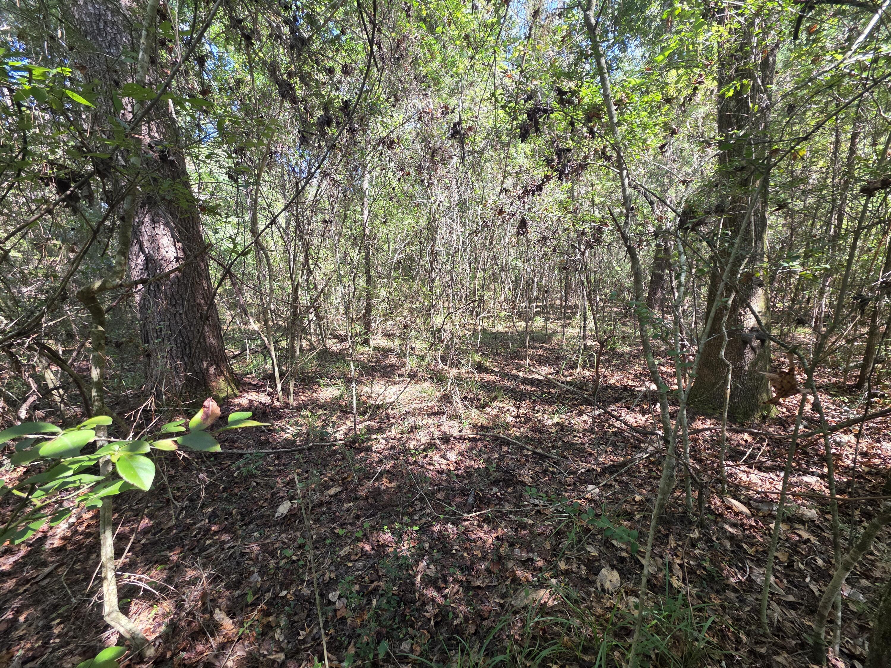 Lot 1-2 Antioch Road Crestview, FL 32536 - Photo 7 of 11 1000059450