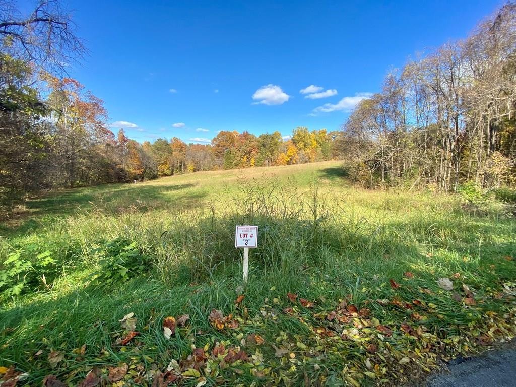 34 Thomas Cross Road Sevierville, TN 37876 - Photo 1 of 6