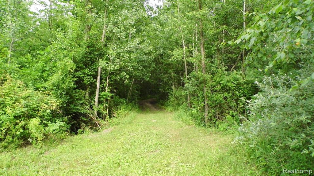 0 South Murray Road Caro, MI 48723 - Photo 3 of 14