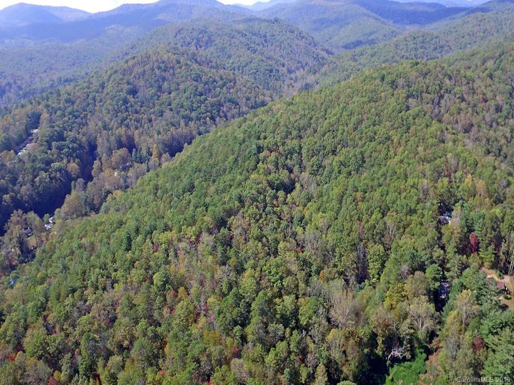 Tbd Tinsley Road Brevard, NC 28712 - Photo 3 of 9 Gallery Image 3