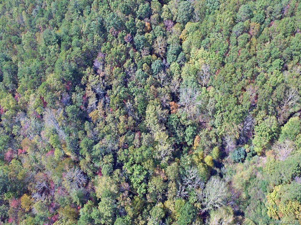 Tbd Tinsley Road Brevard, NC 28712 - Photo 4 of 9 Gallery Image 4