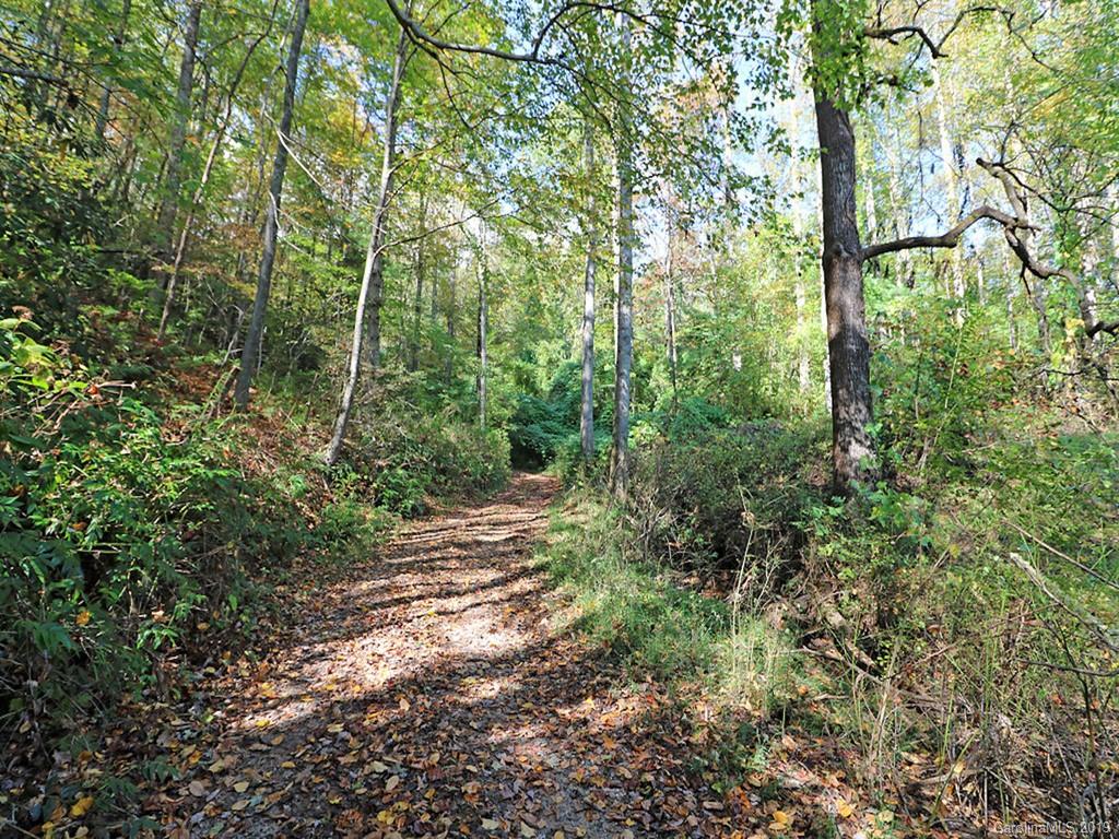Tbd Tinsley Road Brevard, NC 28712 - Photo 9 of 9 Gallery Image 9
