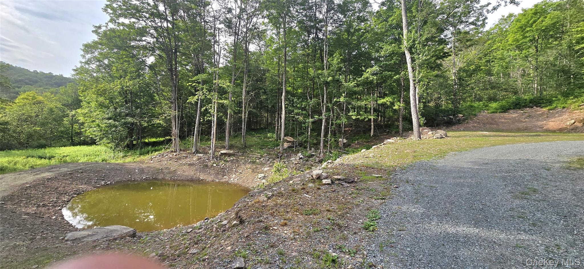 1211 Gulf Road Roscoe, NY 12776 - Photo 16 of 41