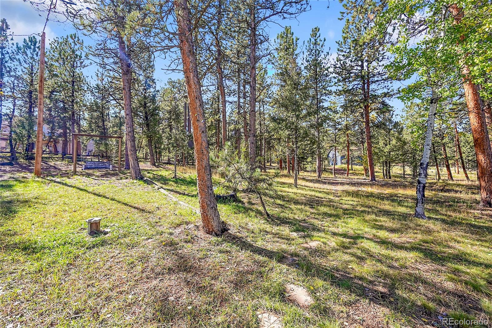 348 Nova Road Pine, CO 80470 - Photo 39 of 50 a view of yard with tree