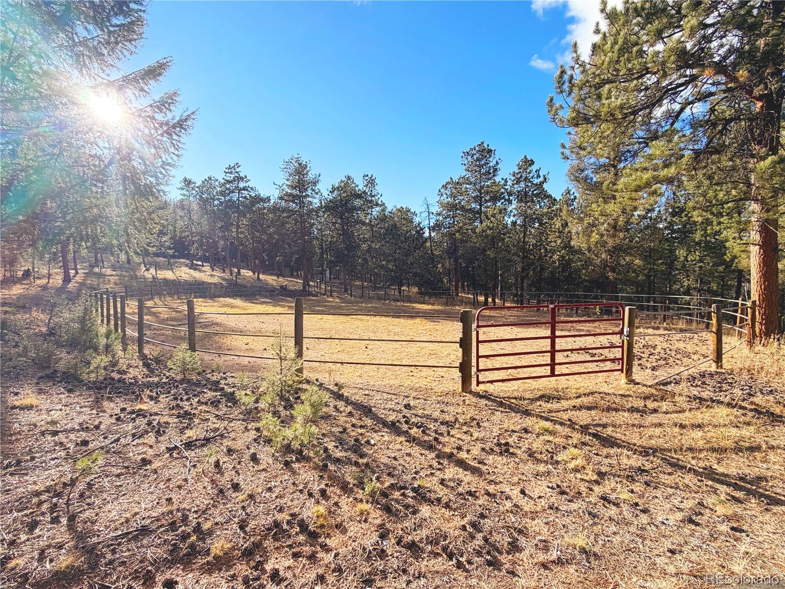 348 Nova Road Pine, CO 80470 - Photo 48 of 50 a view of a yard with wooden fence