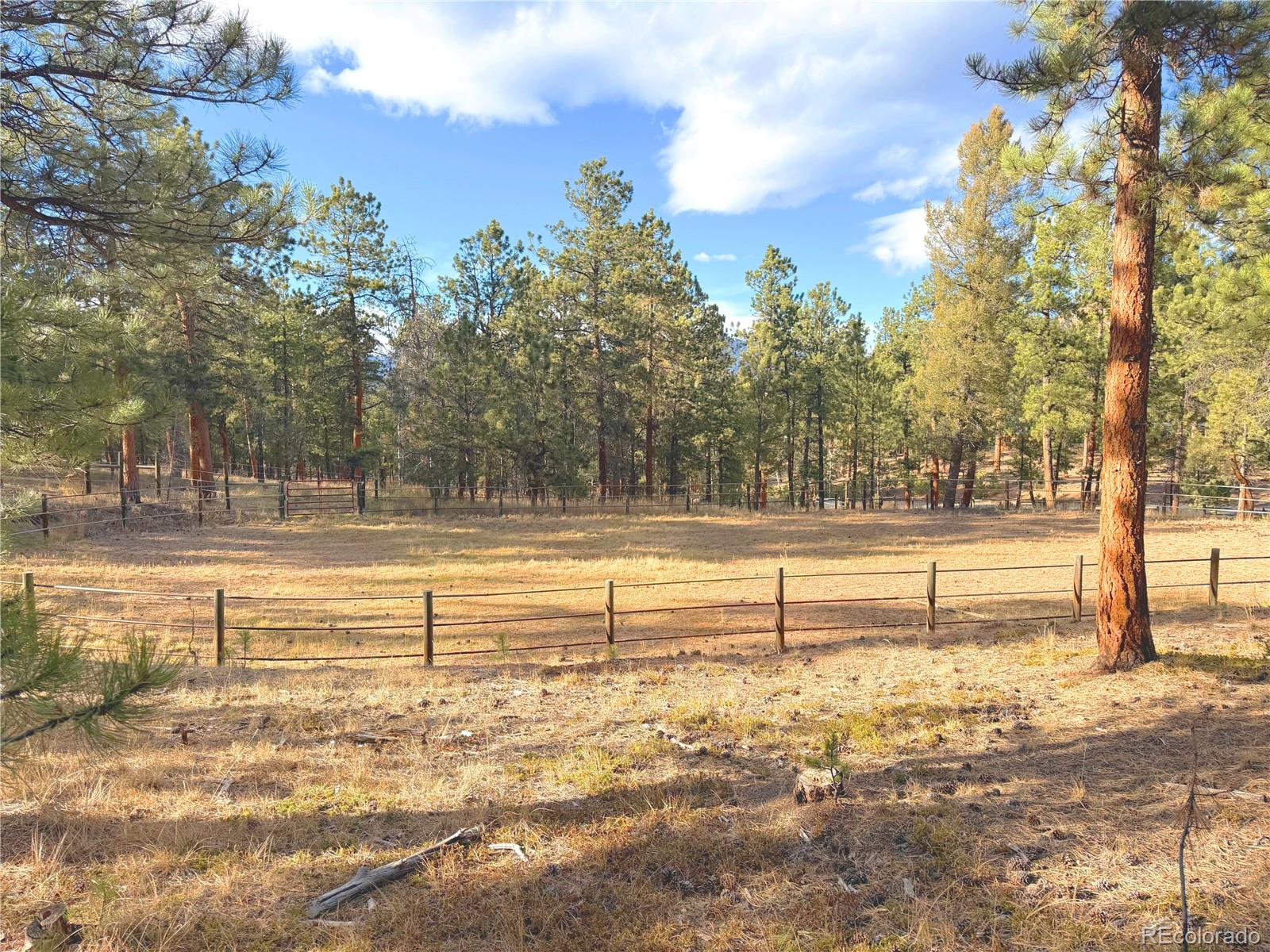 348 Nova Road Pine, CO 80470 - Photo 49 of 50 a view of yard with swimming pool and trees
