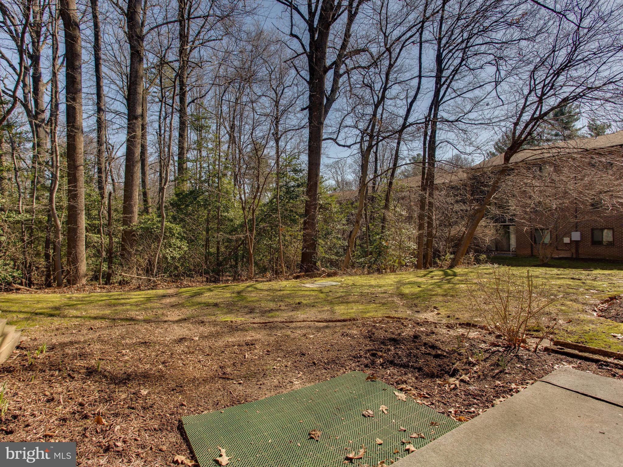 1523 Northgate Square, Unit 1B Reston, VA 20190 - Photo 22 of 30 Exterior (Rear)