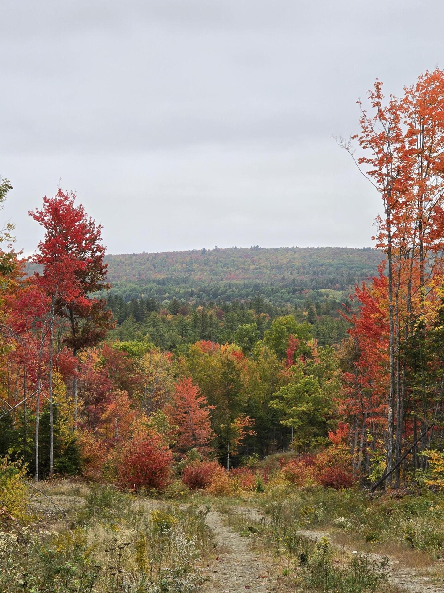 Lot #4 Woods Road Phillips, ME 04966 - Photo 2 of 27