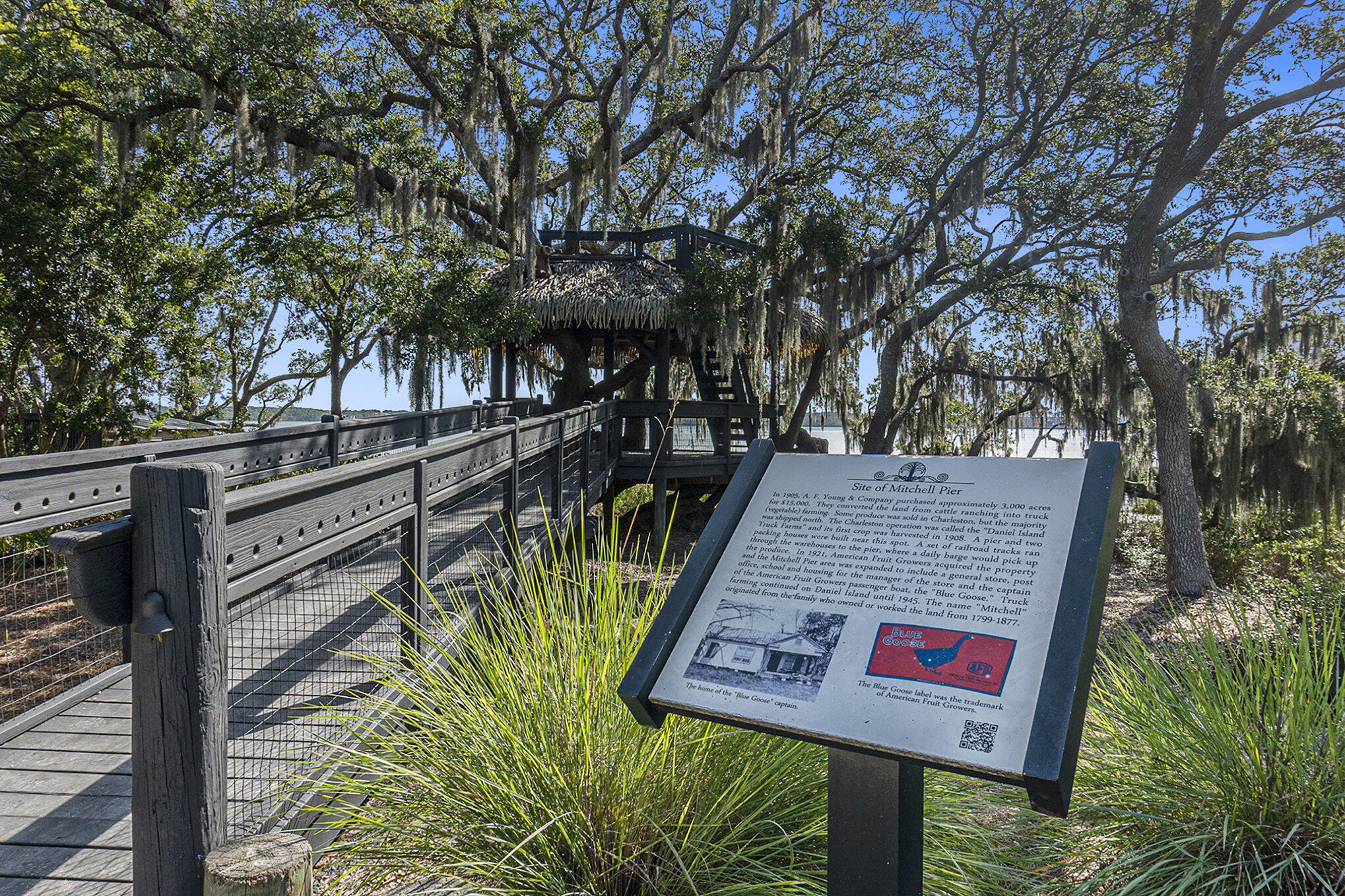 1415 Smythe Street Charleston, SC 29492 - Photo 61 of 81 073_fgp08407_651