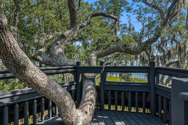 $2,500,000 | 1415 Smythe Street, Charleston, SC 29492