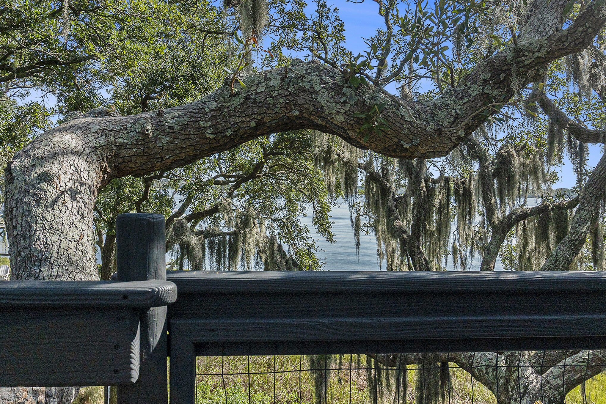 1415 Smythe Street Charleston, SC 29492 - Photo 65 of 81 077_fgp08415_898